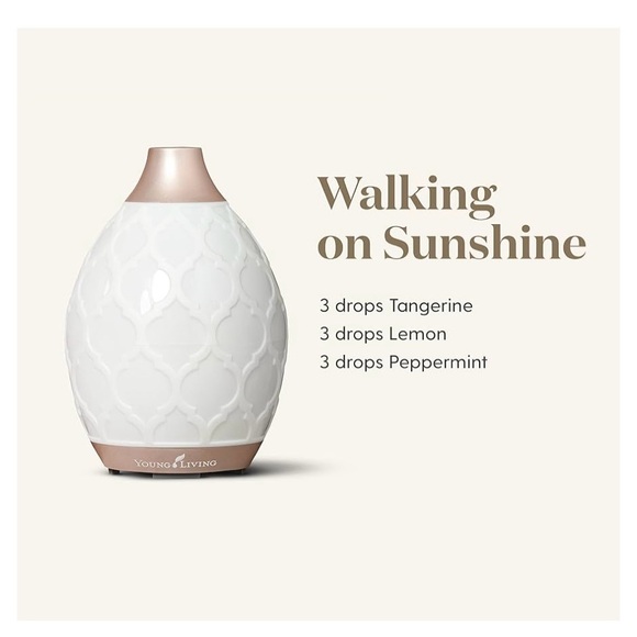 2 x Young Living Desert Mist Ultrasonic Essential Oil Diffusers - new no boxes - Picture 3 of 6